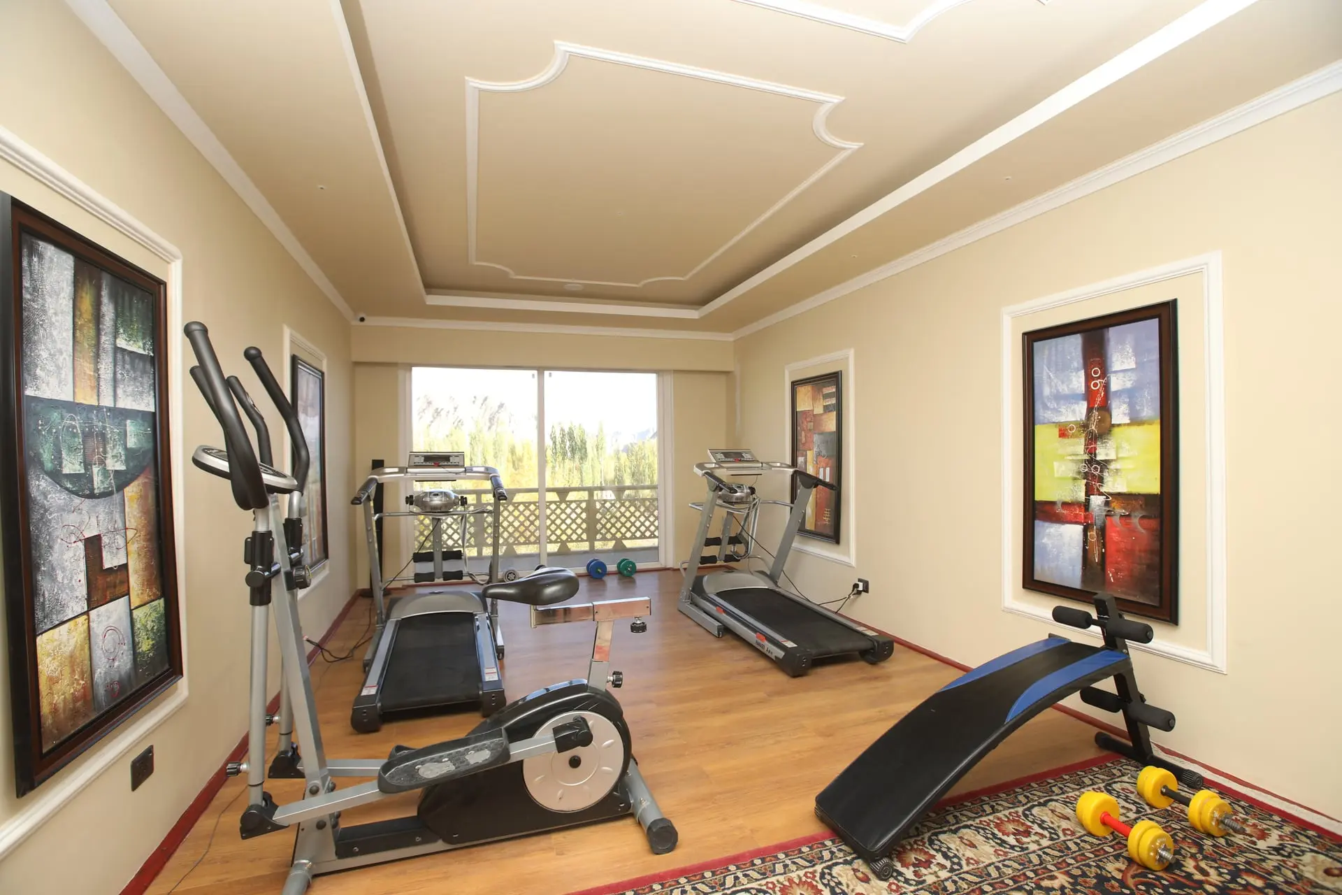 Gymnasium Treadmills & Mountain View